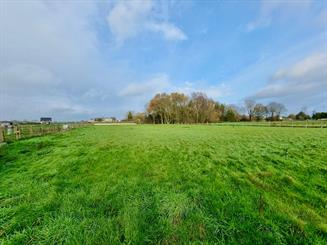 Woning Te koop Zingem